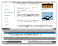 Nyxt browser - multi-tab search